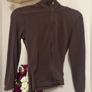 Aritzia Brown Hoodie
